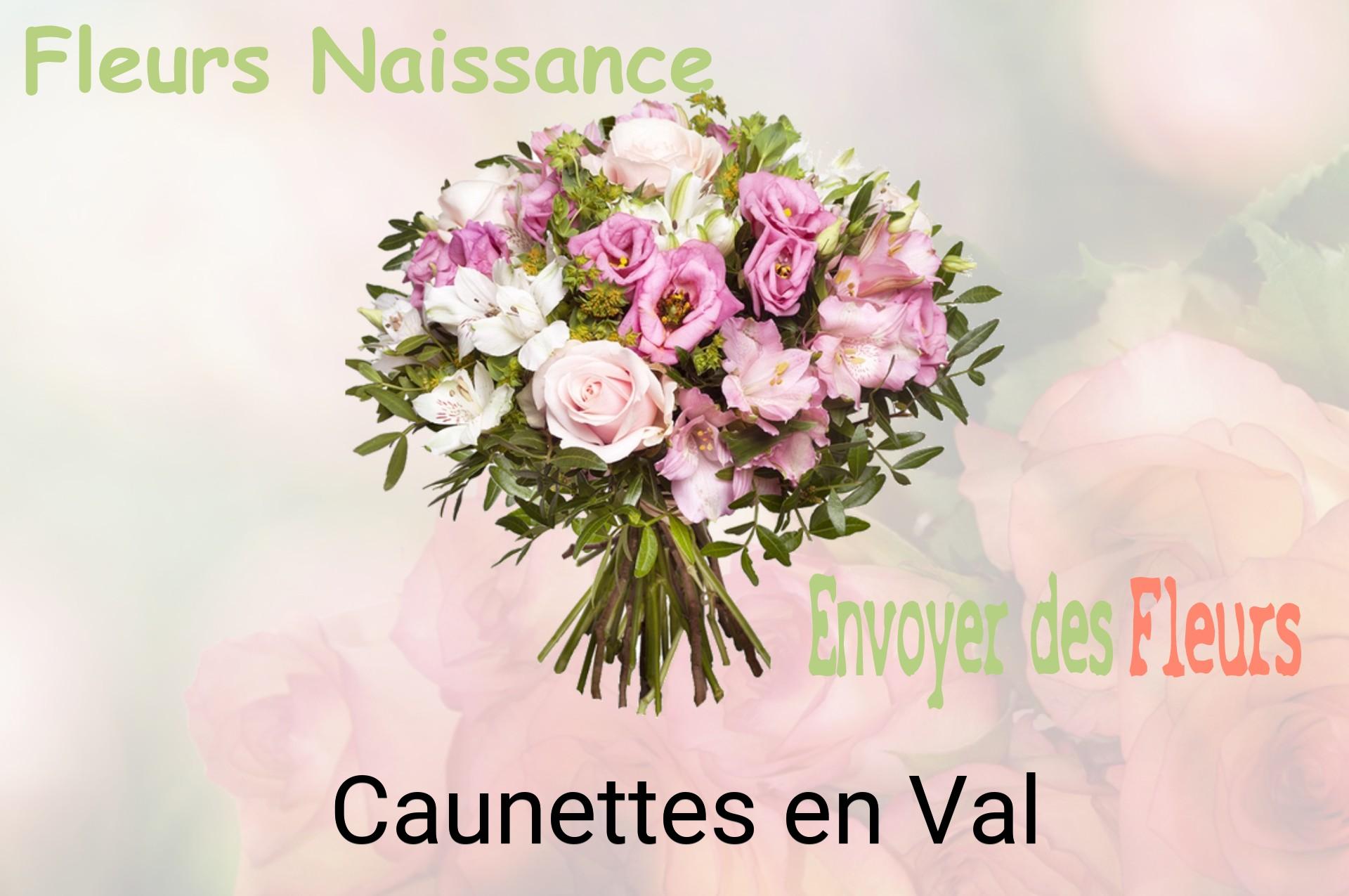 Bouquet de fleurs de naissance livré à Caunettes-en-Val